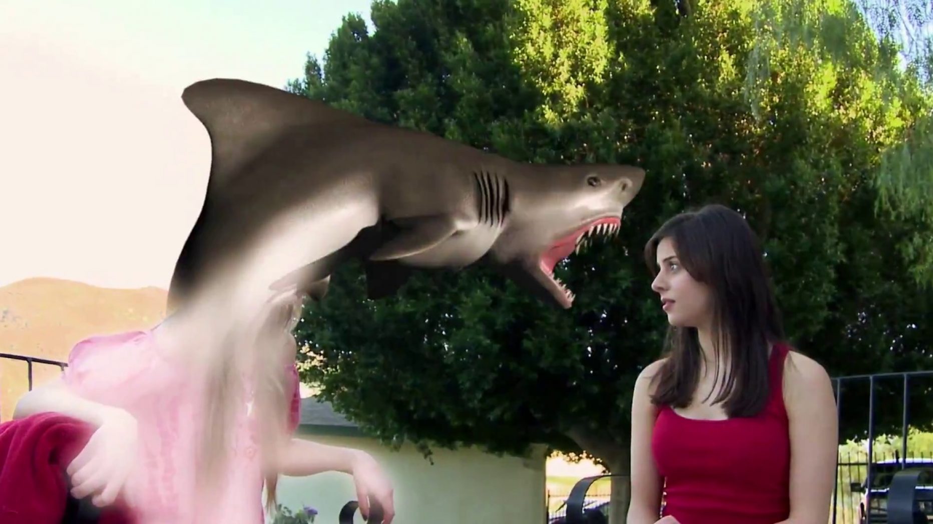 Saturday is sharkday #10: 90210 Shark Attack