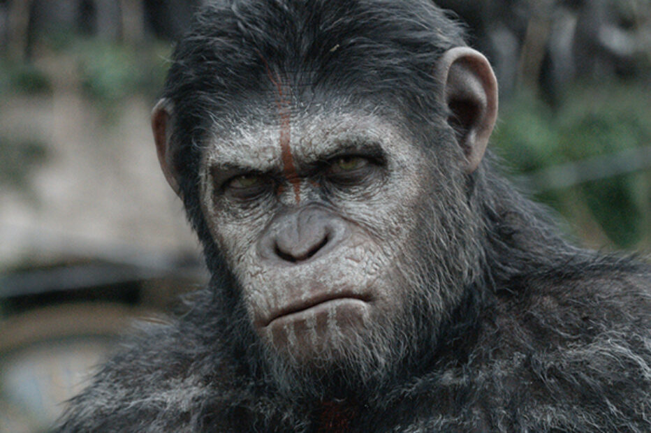 The War – Il Pianeta delle Scimmie: Ape-ocalypse Now!