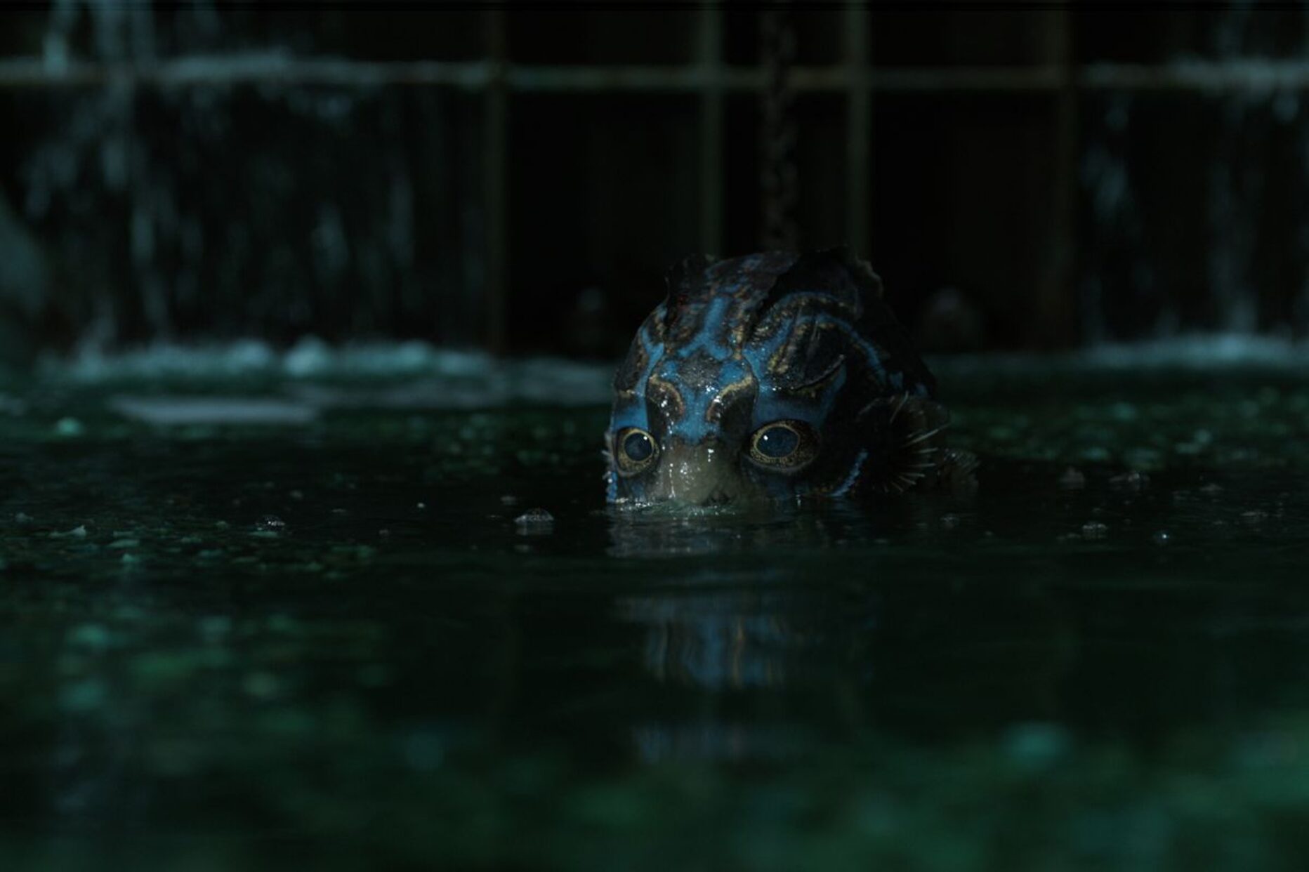 The Shape of Water: Del Toro se lo può permettere